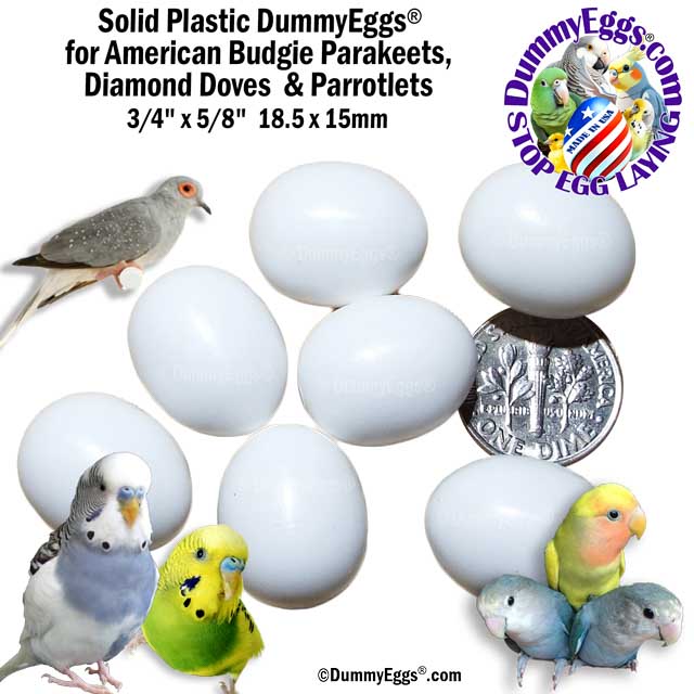 Image showing 7 solid plastic DummyEggs used for American Budgie Parakeets, Diamond Doves, and Parrotlets. Eggs are positioned next to a dime for size comparison and surrounded by images of birds, including parakeets, a dove, and 3 parrotlets.