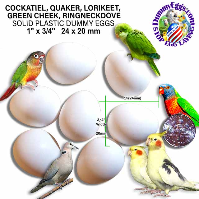 Image displaying seven solid plastic DummyEggs arranged in a circle around a U.S. quarter for size comparison. Various bird species, including cockatiels, quakers, lorikeets, green cheeks, and ringneck doves, are pictured around the eggs. Dimensions are given as 1 x 3/4 inch (24 x 20 mm).