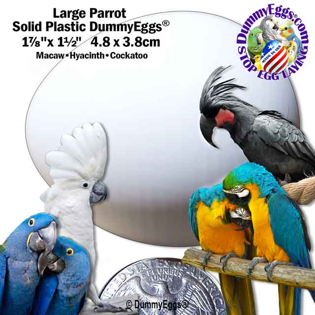 A product image featuring a large plastic dummy egg, measuring 1-7/8 x 1-1/2 inch (4.8 x 3.8 cm), used for large parrots like Macaws, Hyacinths, and Cockatoos. The image includes photos of these bird species around the DummyEgg egg, arranged in a circle around a U.S. quarter for size comparison.