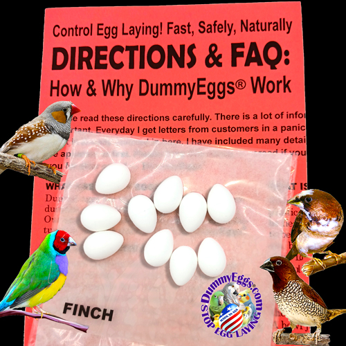 An advertisement for dummyeggs featuring images of 4 finches and 10 white dummy eggs on a red directions & FAQ flyer, company logo, black background