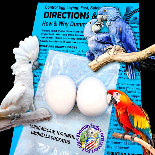 A pair of Hyacinth Macaws, a Scarlet Macaw, and a large white Cockatoo are shown, two large white plastic eggs, against a backdrop of a colorful blue brochure about how to use dummy bird eggs, DummyEggs logo.