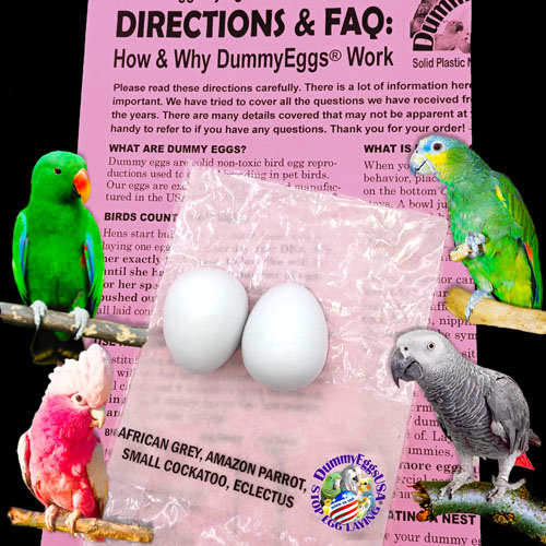 2 Plastic dummy eggs for African Grey, Eclectus, Amazon and other medium parrots plus images of these birds, printed directions, and DummyEggs logo.