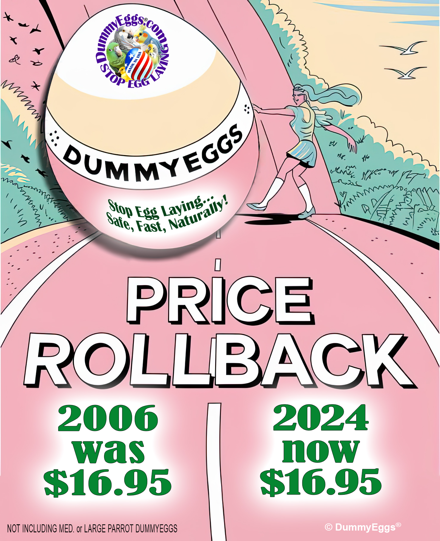 A retro-style advertisement for DummyEggs shows a giant egg rolling downhill with a woman to the side. Illustration in soft pink, yellow and green. The text reads: PRICE ROLLBACK, 2006 was $16.95, 2024 now $16.95 and says DummyEggs wrapped around the egg.