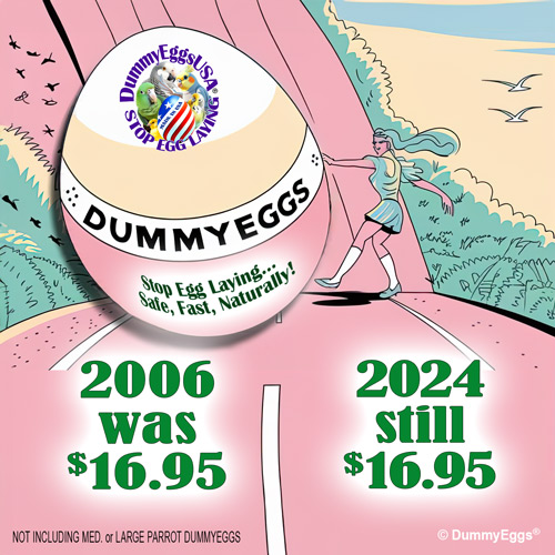 A retro-style advertisement for DummyEggs shows a giant egg rolling downhill with a woman to the side. Illustration in soft pink, yellow and green. The text reads: PRICE ROLLBACK, 2006 was $16.95, 2024 now $16.95 and says DummyEggs wrapped around the egg.