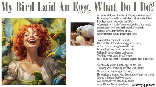 A picture of a beautiful young red haired women surrounded by birds, heading says My Bird Laid An Egg, What Do I Do?, DummyEggs logo and picture of a cockatoo with her egg